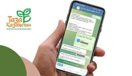 В Павлодарской области выросла активность пользователей экологического чат-бота