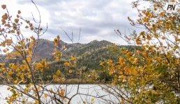 Павлодарская область расширила сотрудничество в сфере туризма