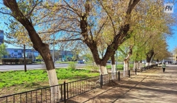 24 апреля в Павлодарской области не будет осадков