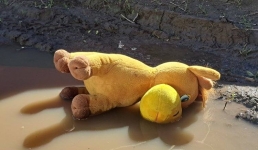 В павлодарской «103» назвали основные причины детского травматизма