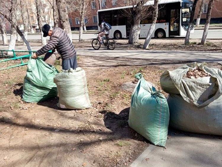 Павлодарские ветераны организовали акцию чистоты