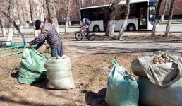 Павлодарские ветераны организовали акцию чистоты