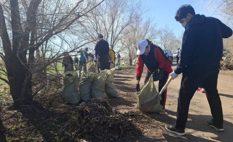 В Павлодаре вывезли более девяти тысяч тонн мусора