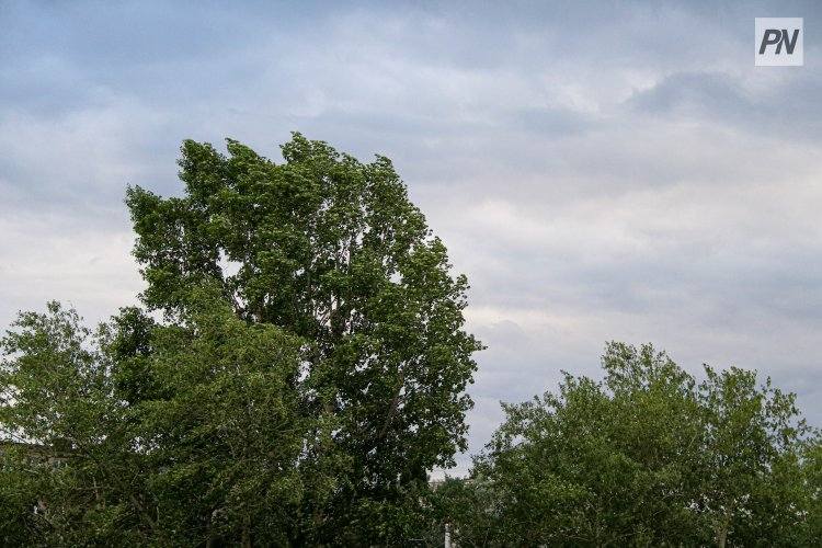 В Павлодарской области ликвидируют последствия стихийного ветра