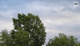 В Павлодарской области ликвидируют последствия стихийного ветра