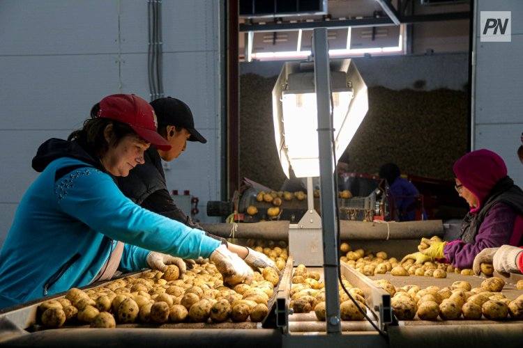 Свыше четырех тысяч человек в Павлодарской области получили работу