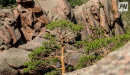 Баянаульцы помогли туристам из Голландии выбраться из грязевой ловушки