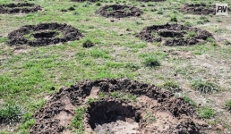 Лучшие павлодарские школьники заложили основу экологического будущего страны