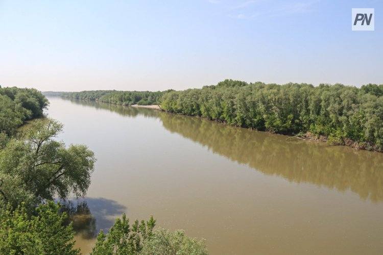 Власти Павлодарской области обеспокоены ранним купанием детей в Иртыше