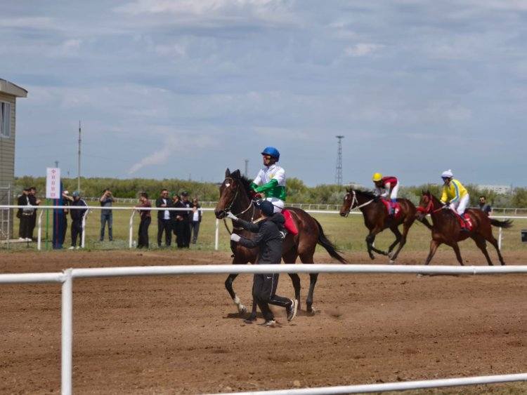 EKIBASTUZ CUP: в Экибастузе состоялся турнир по конным видам спорта