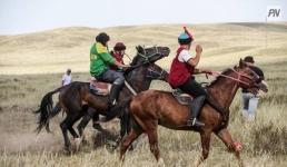 День Экибастуза объединит любителей конного спорта