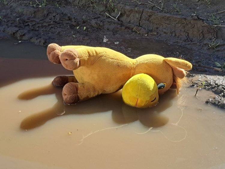 В Павлодаре пропал восьмилетний мальчик