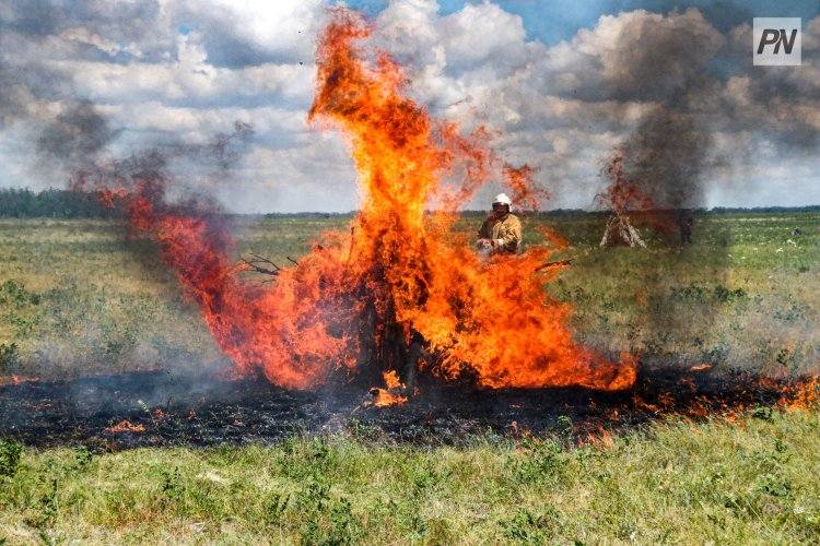 Павлодарские огнеборцы предупредили, что пожар начинается с искры