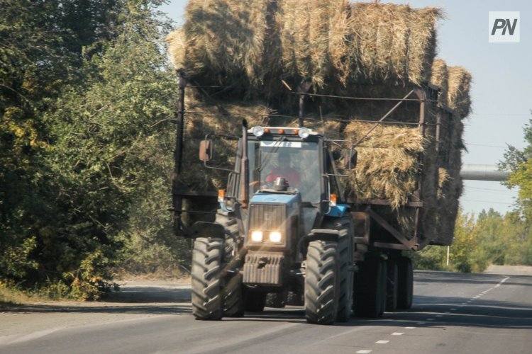 Аккулы сможет поделиться сеном с соседом