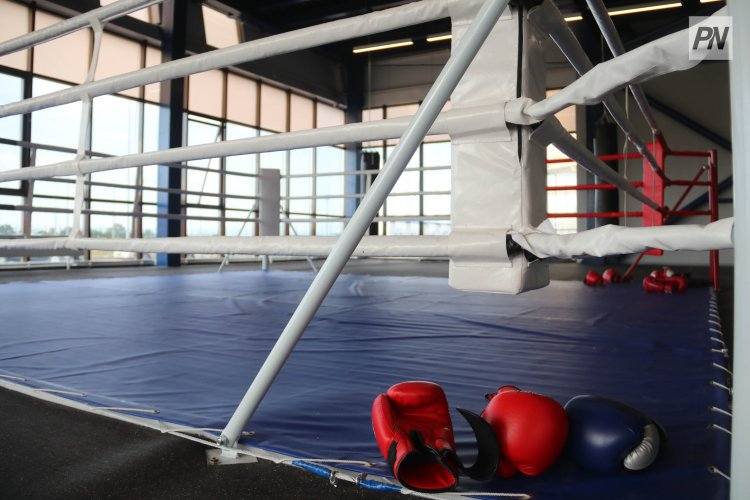 В Павлодарской области будут бесплатно готовить тренеров спортсекций