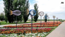 Павлодар показал международным гостям, как развивается инклюзивная среда