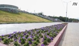 На павлодарской набережной восстановят поврежденные цветники