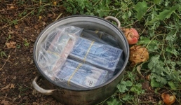В Павлодаре нашли 24 миллиона тенге в кастрюле под яблоней