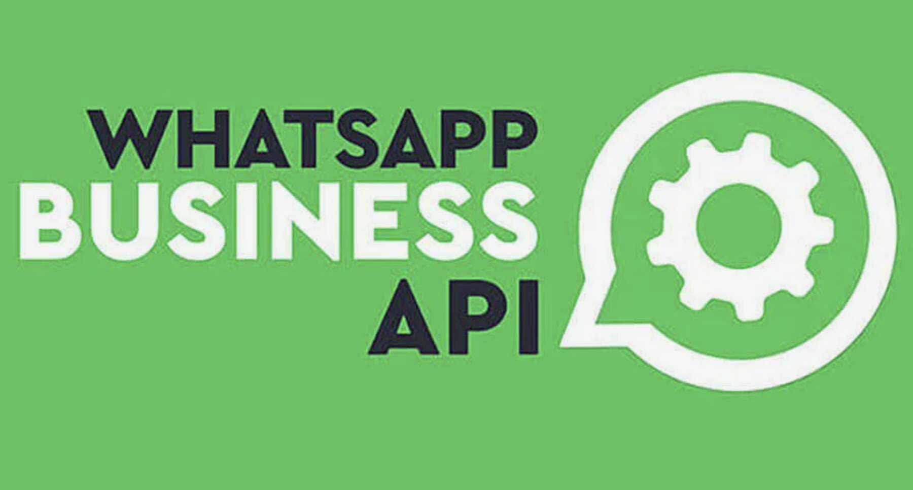 WhatsApp Business API назначение и практическая польза для коммуникаций