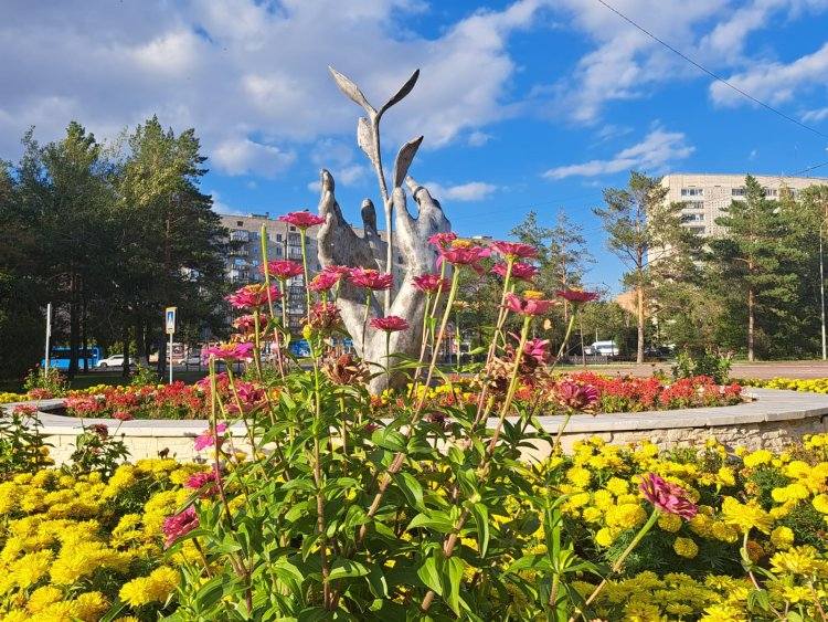 Тепло и без осадков: погода в Павлодарской области 8 сентября