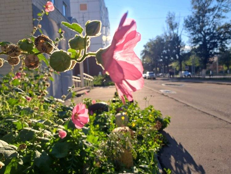 30-градусную жару прогнозируют в Павлодарской области 10 сентября
