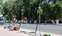 За озеленение Павлодара взялись бизнесмены
