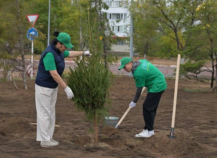 Между старой и новой частью Аксу возродят парк