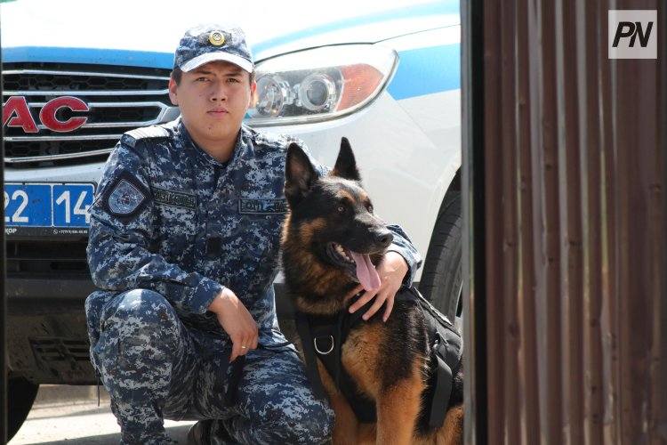 В Павлодарской области позаботятся о «Безопасном доме»
