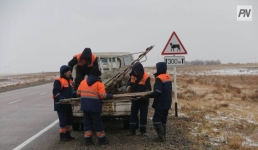 В Павлодарской области усилят защиту дорог от снежных заносов