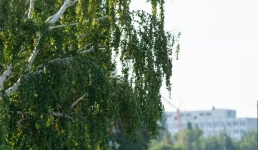 Более 800 бегунов вышли на старт ERTIS PAVLODAR HALF MARATHON