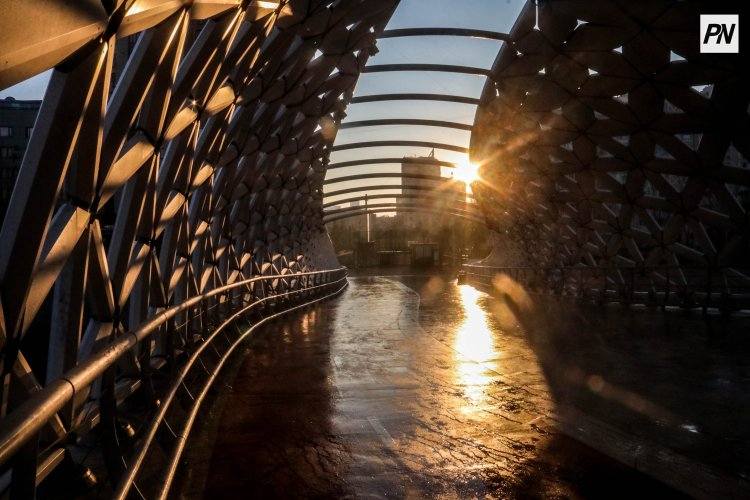 Семью министра труда Казахстана отнесли к категории состоятельных