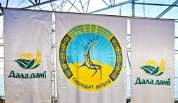 Павлодарские производители привезли в Астану 615 тонн продукции