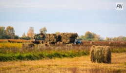 Павлодарские сельхозземли будут распределять онлайн