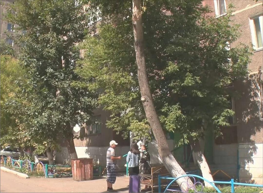 Нечем дышать жильцы павлодарской многоэтажки просят убрать мусорные баки