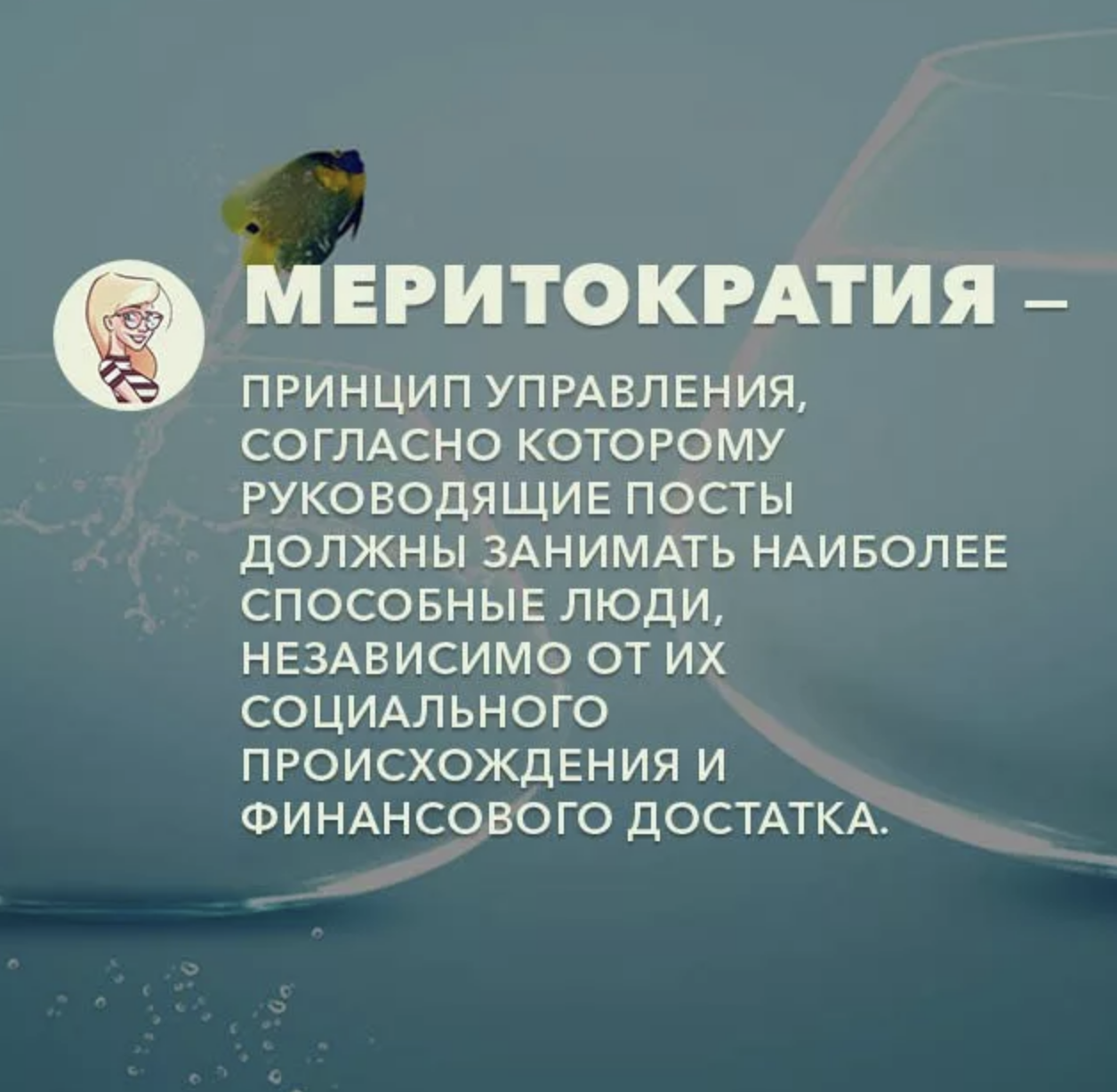 Принцип меритократии. Меритократические принципы это. Меритократия примеры стран. Меритократия это кратко.