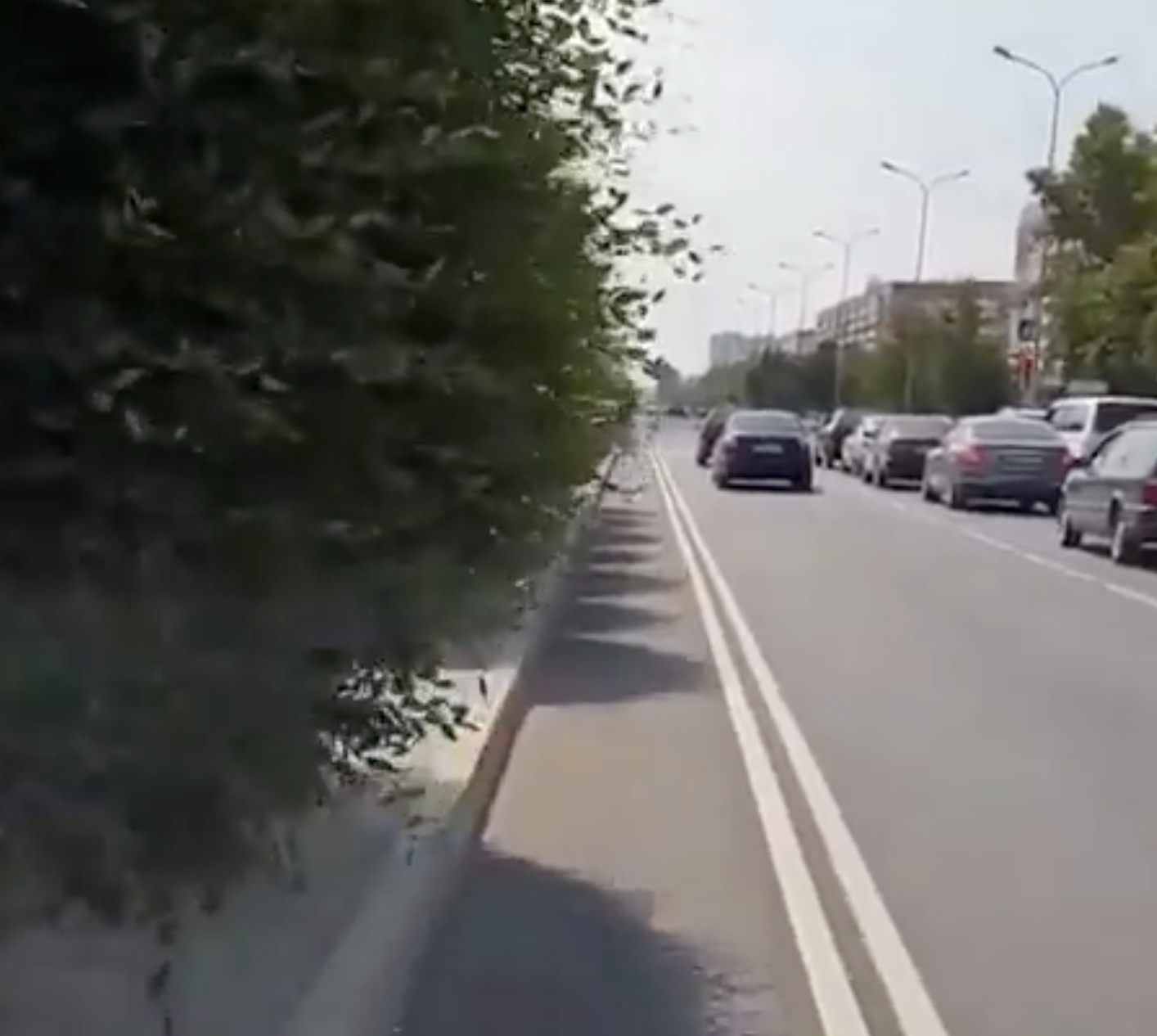 На новой велодорожке кустарник бьет велосипедистов по рукам и лицу