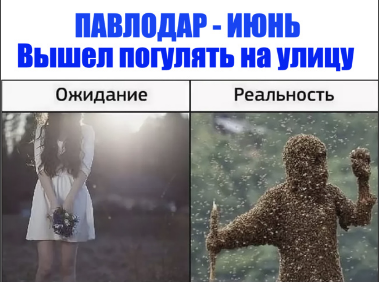 Павлодарская мошка - крылатая достопримечательность города?