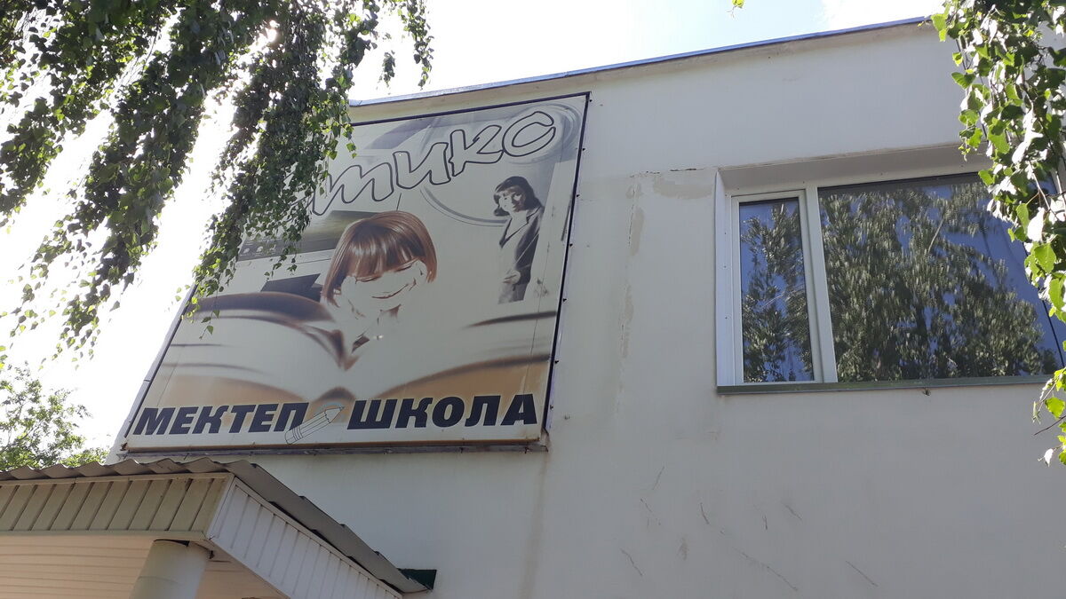Бомжи - цветы жизни