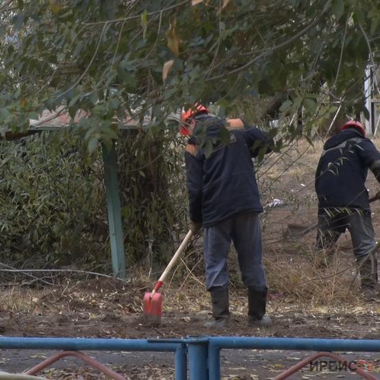 Чистые дворы дату общегородского субботника назвали в Павлодаре