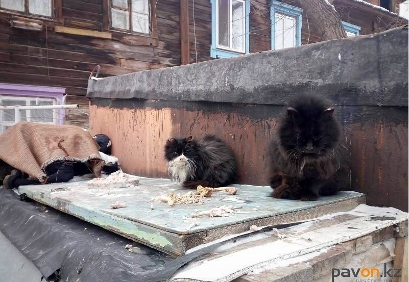 Когда переедут в новые дома жители старых двухэтажек на Затоне 