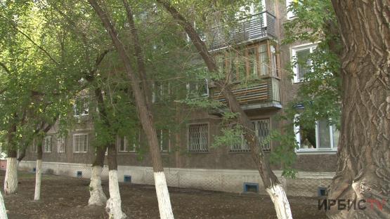 Жизнь во мраке в Павлодаре супруги-пенсионеры не видят солнечного света из-за деревьев