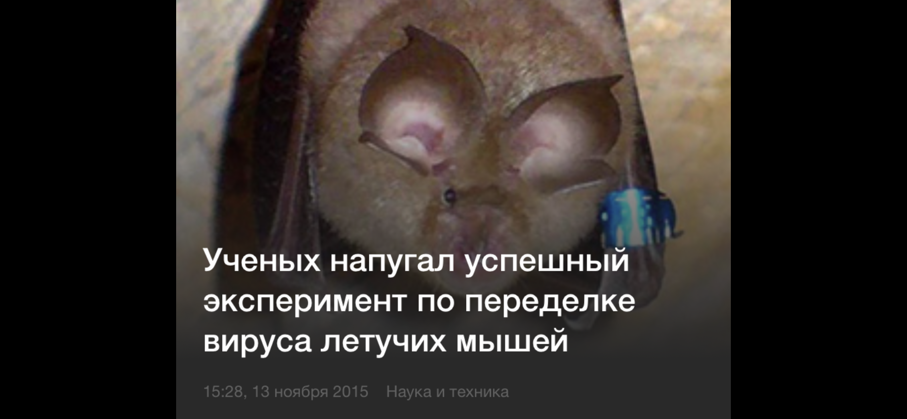 О коронавирусе из прошлого 