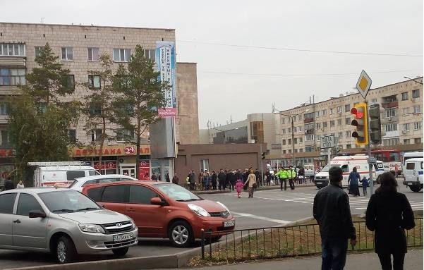 33 дерева вырубят для строительства велодорожки в Павлодаре 