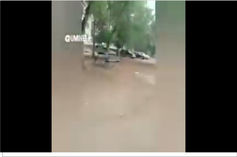 Обращение детей со двора дома по ул. Катаева, 103/2