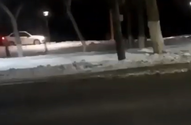 Жителя Павлодара наказали за езду по Гусиному перелету