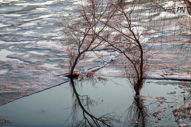 Выйдут сухими из воды: сколько павлодарских сёл взяли под контроль