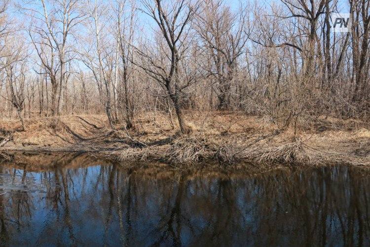 В апреле средняя температура воздуха в Павлодарской области будет выше нормы