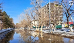 Почти неделю в Павлодарской области будет лить дождь