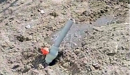 В Актау депутату пришлось через прокуратуру добиваться запуска системы полива деревьев