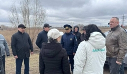 Депутат Мажилиса оценила подготовку пригорода Павлодара к весеннему половодью